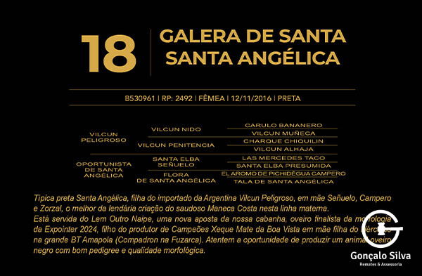 Geração GALERA DE SANTA ANGÉLICA
