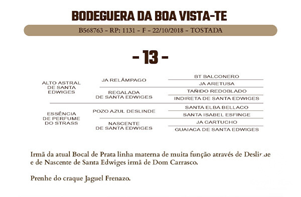 Geração BODEGUERA DA BOA VISTA - TE