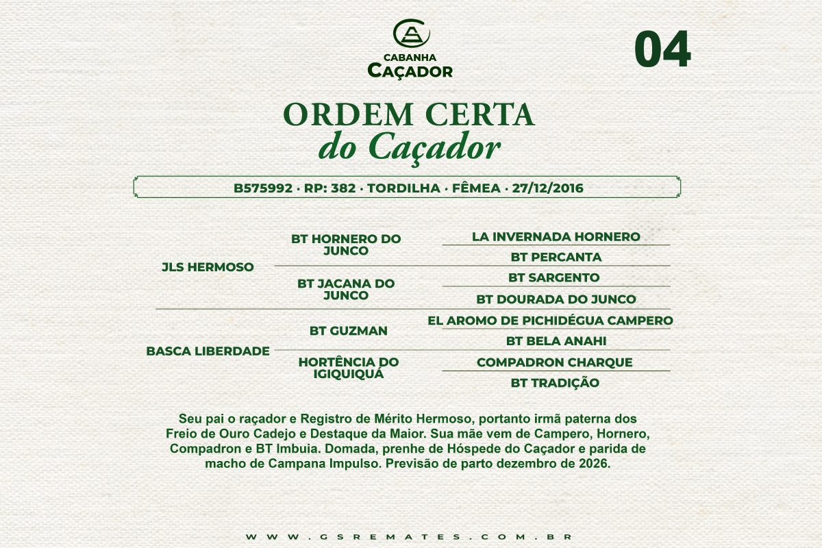 Geração ORDEM CERTA DO CAÇADOR 