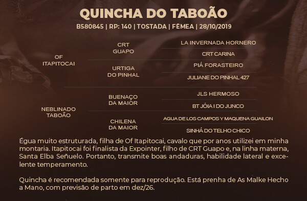 Geração QUINCHA DO TABOÃO 
