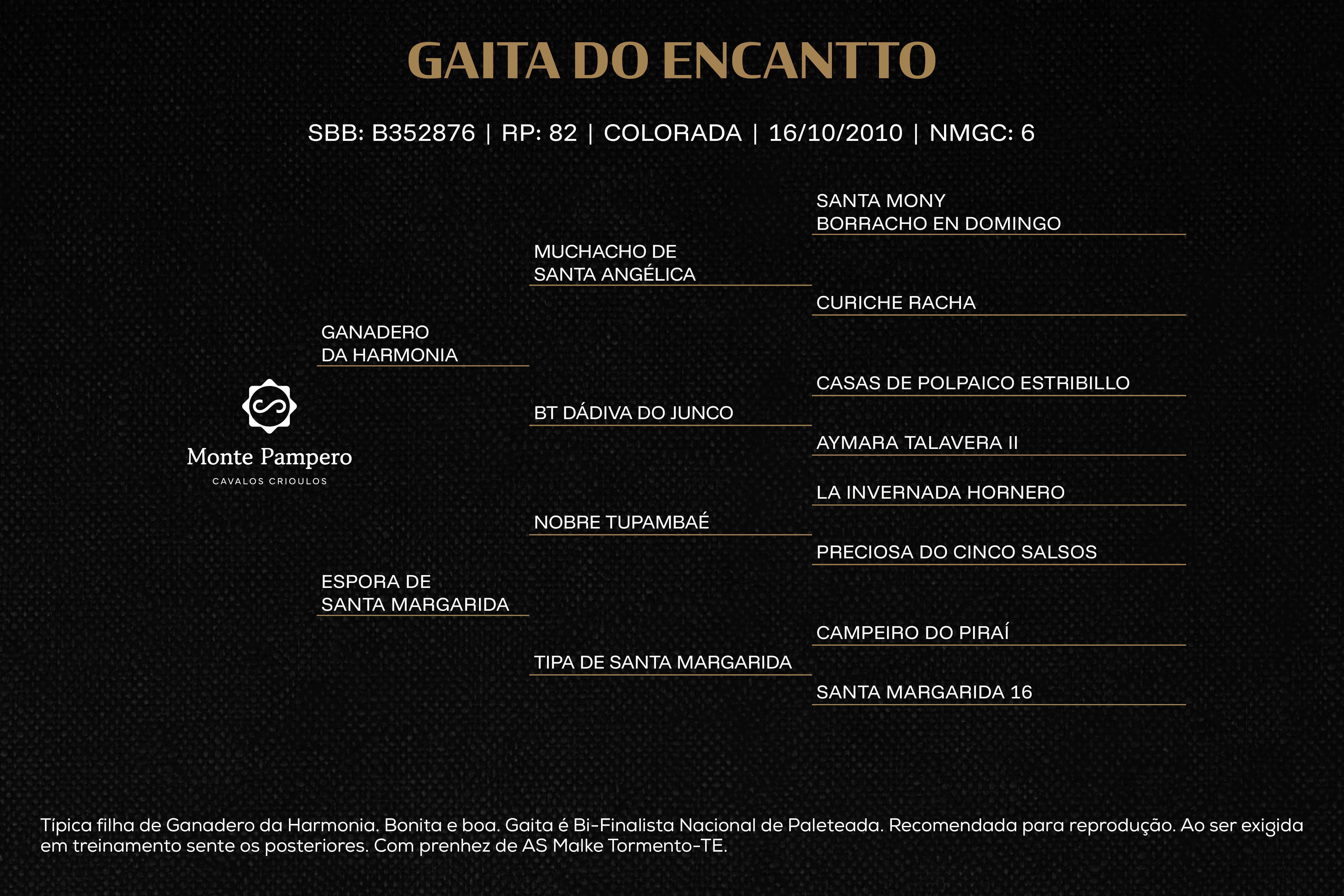 Geração GAITA DO ENCANTTO