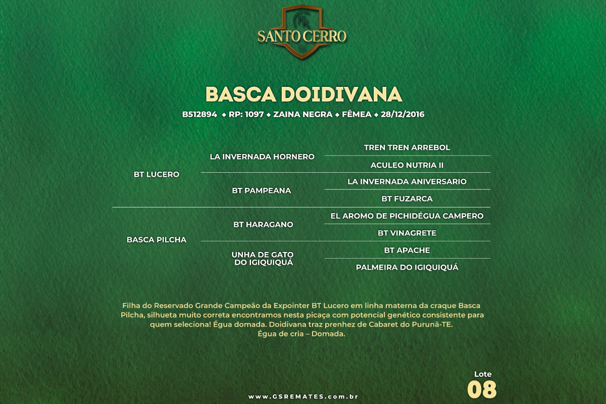 Geração BASCA DOIDIVANA