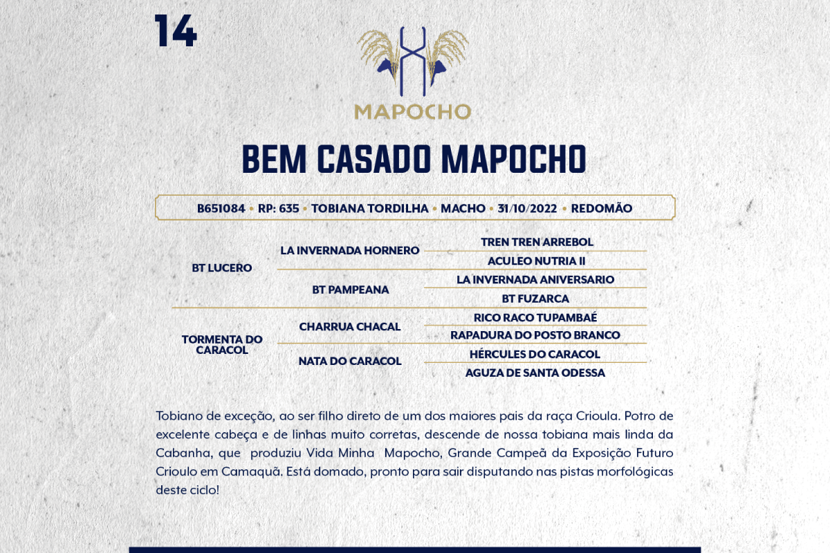 Geração BEM CASADO MAPOCHO