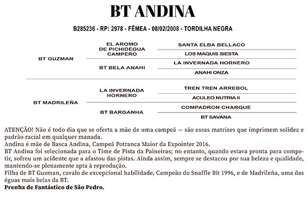 Geração BT ANDINA