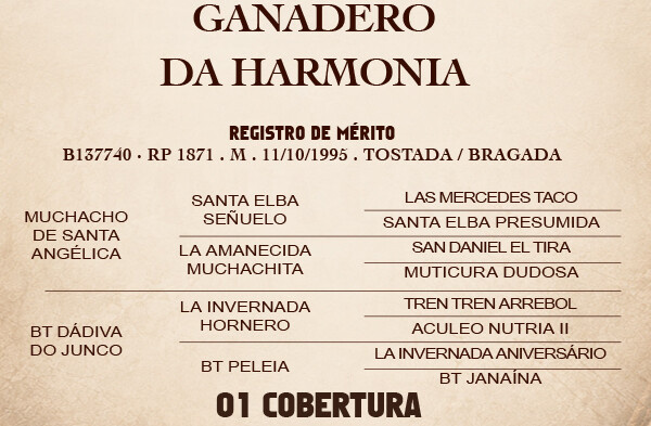 Geração GANADERO DA HARMONIA - Garantia de prenhes