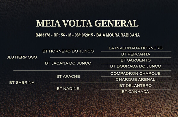 Geração MEIA VOLTA GENERAL