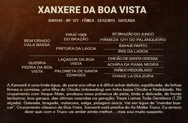 Geração XANXERÊ DA BOA VISTA - VENDA VERTICAL