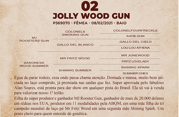 Geração JOLLY WOOD GUN