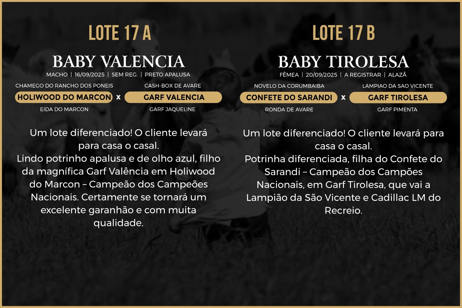 Geração BABY VALENCIA - BABY TIROLESA