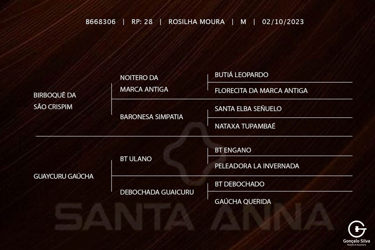 Geração LA MONTURA QUARAI