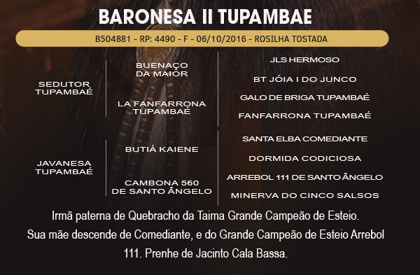Geração BARONESA II TUPAMBAE