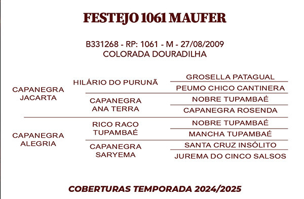 Geração FESTEJO 1061 MAUFER 
