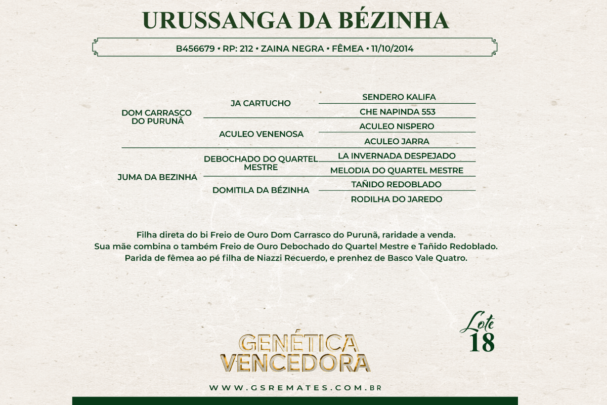Geração URUSSANGA DA BÉZINHA