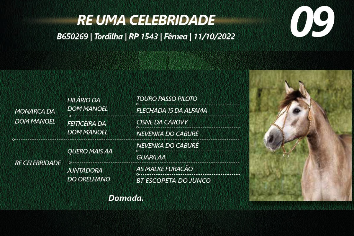 Geração RE UMA CELEBRIDADE