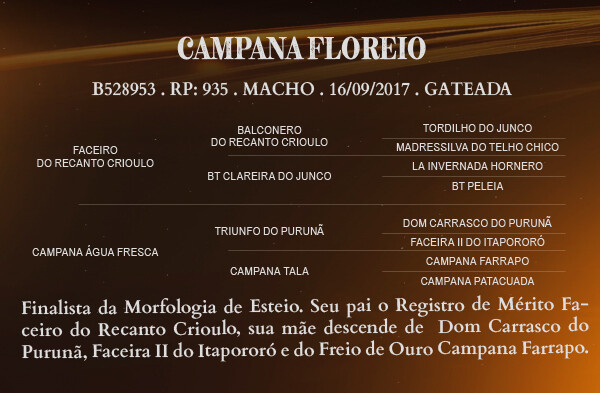 Geração CAMPANA FLOREIO