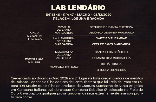 Geração LAB LENDÁRIO - VENDA VERTICAL