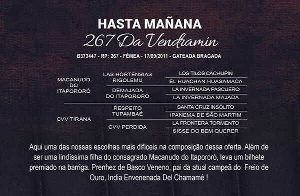 Geração HASTA MAÑANA 267 DA VENDRAMIN