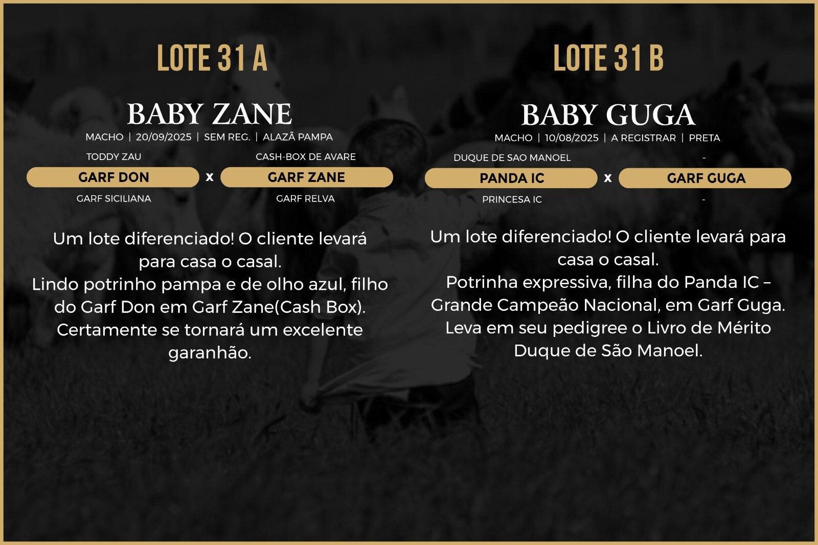 Geração BABY ZANE - BABY GUGA