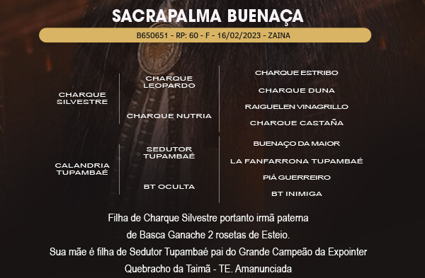 Geração SACRAPALMA BUENAÇA