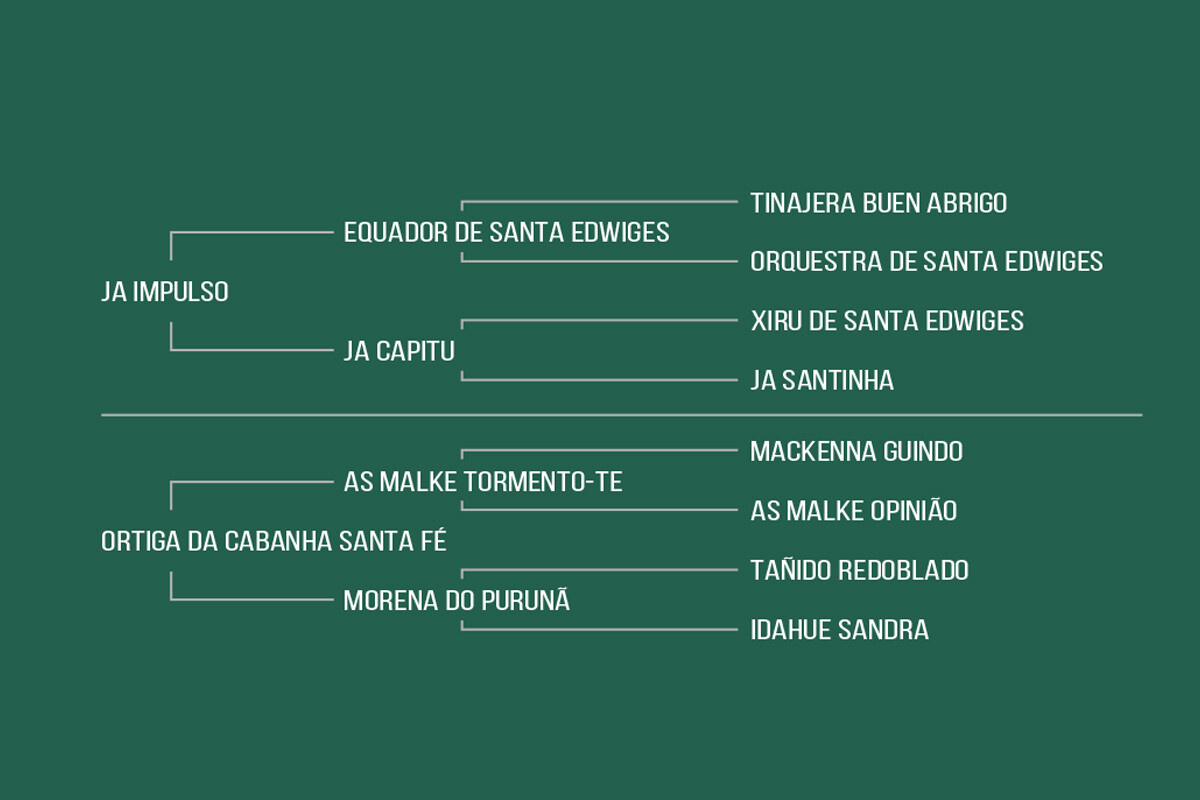 Geração VEDETE DA CABANHA SANTA FÉ