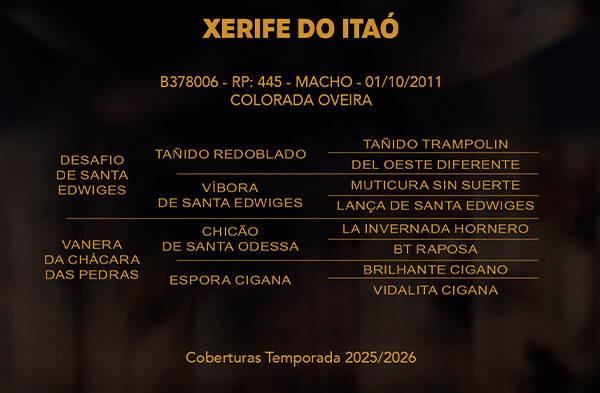 Geração XERIFE DO ITAO