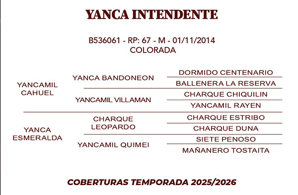 Geração YANCA INTENDENTE 