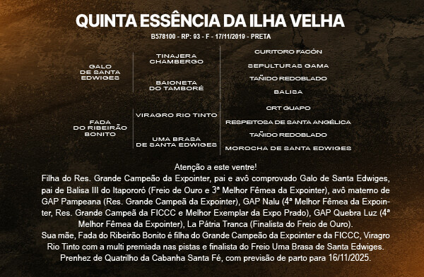 Geração QUINTA ESSÊNCIA DA ILHA VELHA