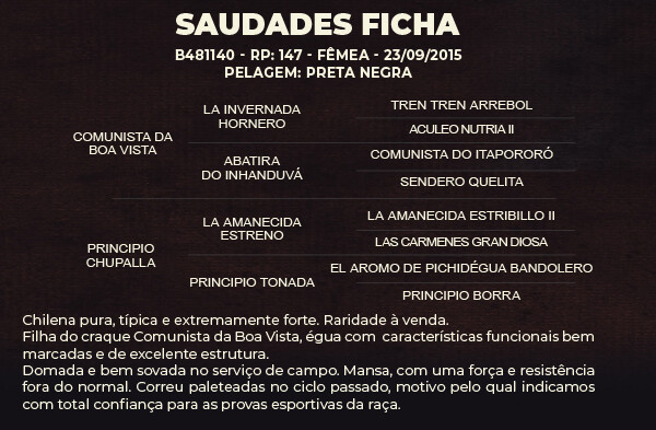 Geração SAUDADES FICHA