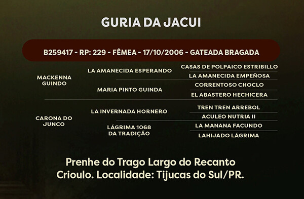 Geração  GURIA DA JACUI 