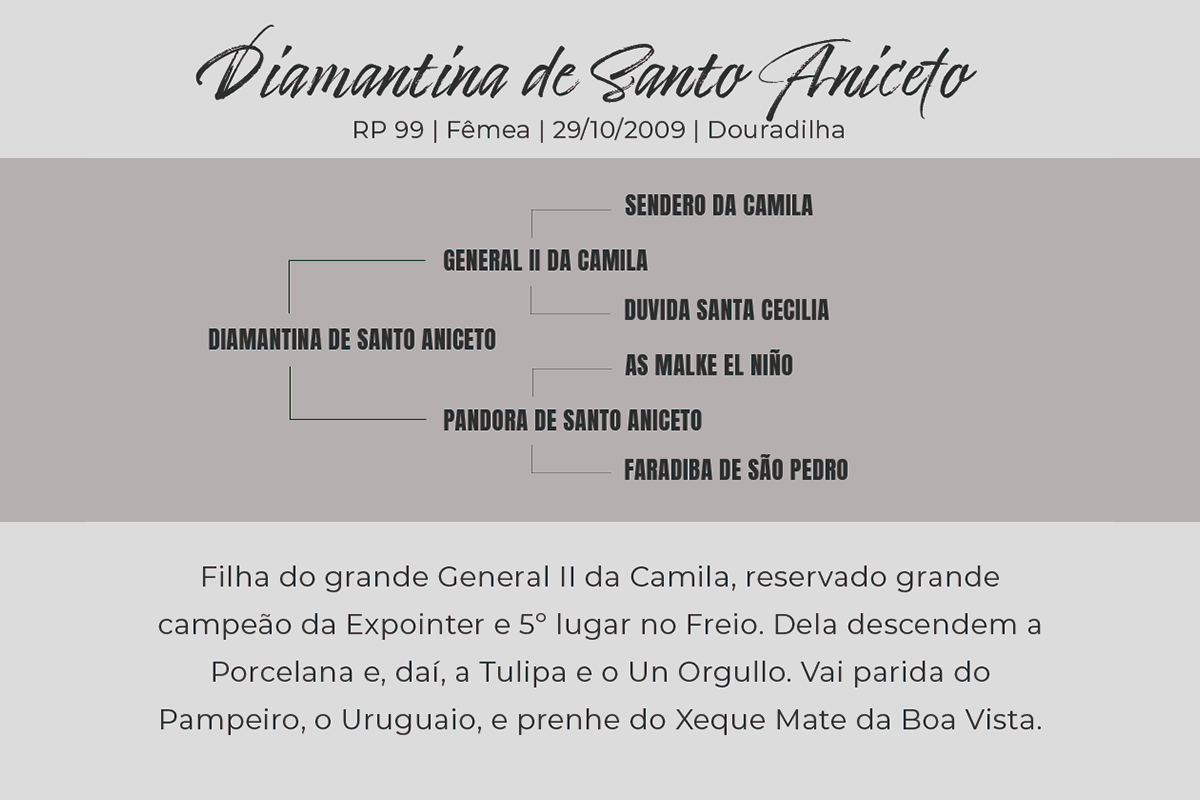 Geração DIAMANTINA DE SANTO ANICETO