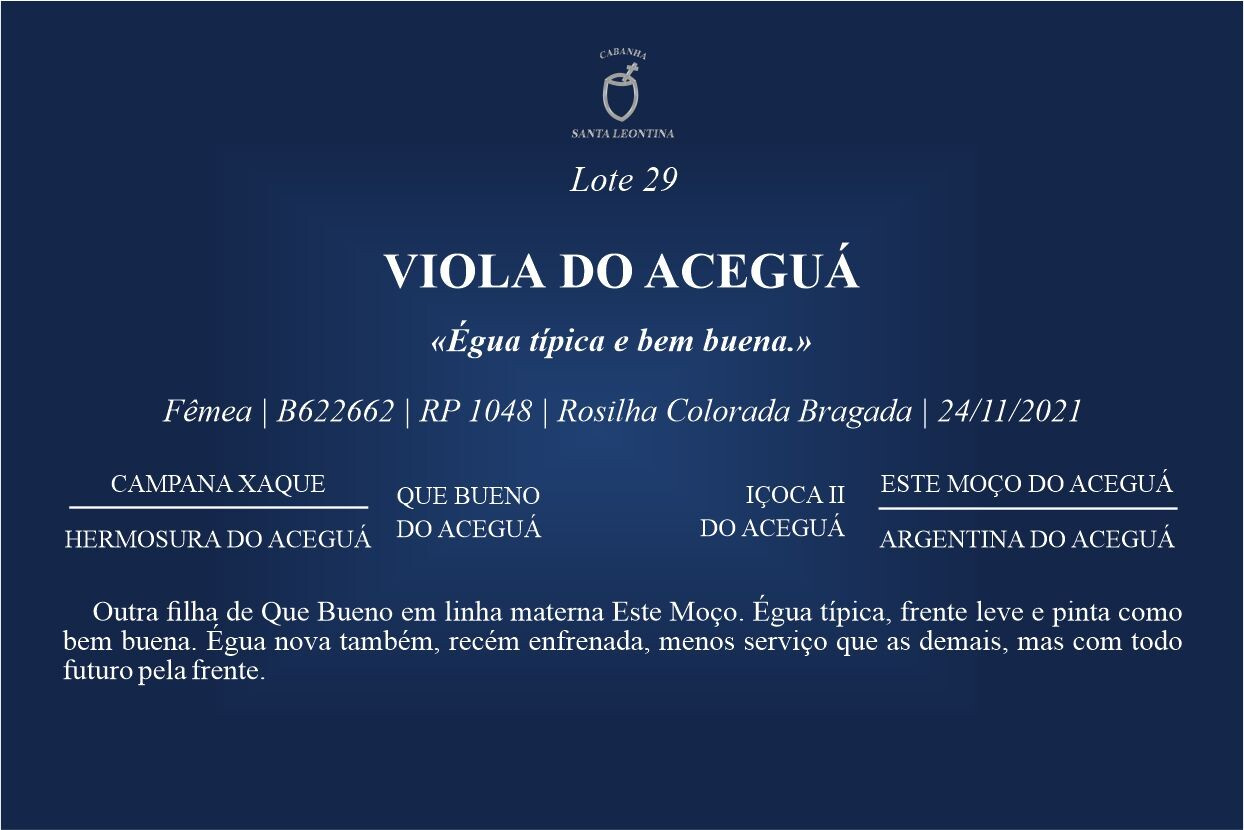 Geração VIOLA DO ACEGUÁ