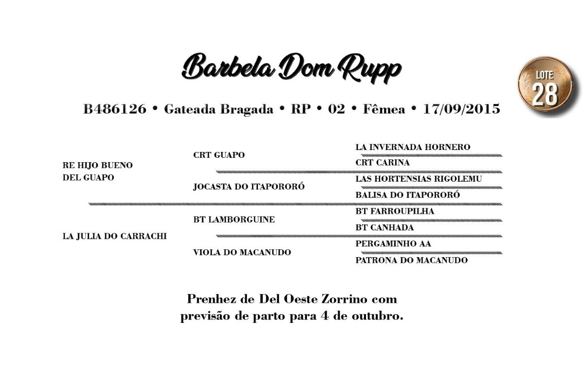 Geração BARBELA DOM RUPP