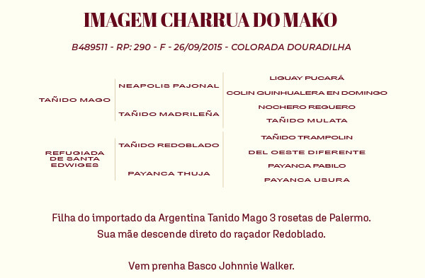 Geração IMAGEM CHARRUA DO MAKO