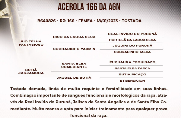 Geração ACEROLA 166 DA AGN
