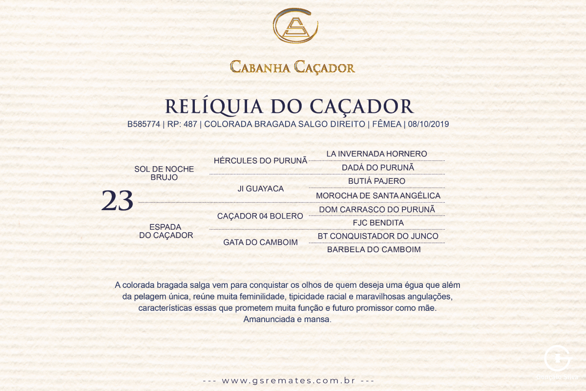 Geração RELIQUIA DO CAÇADOR 