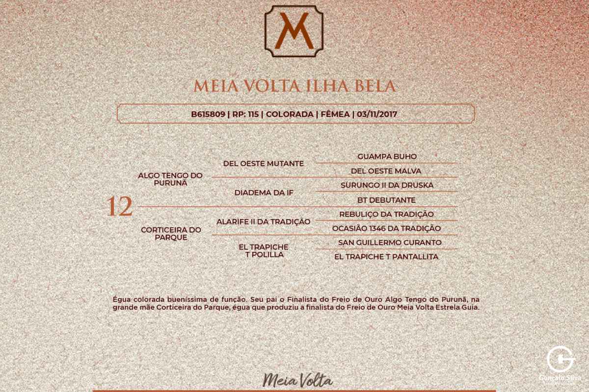 Geração MEIA VOLTA ILHA BELA