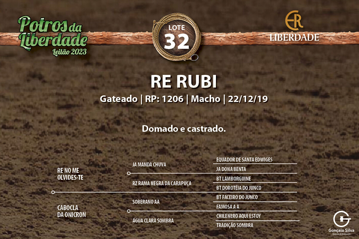 Geração RE RUBI