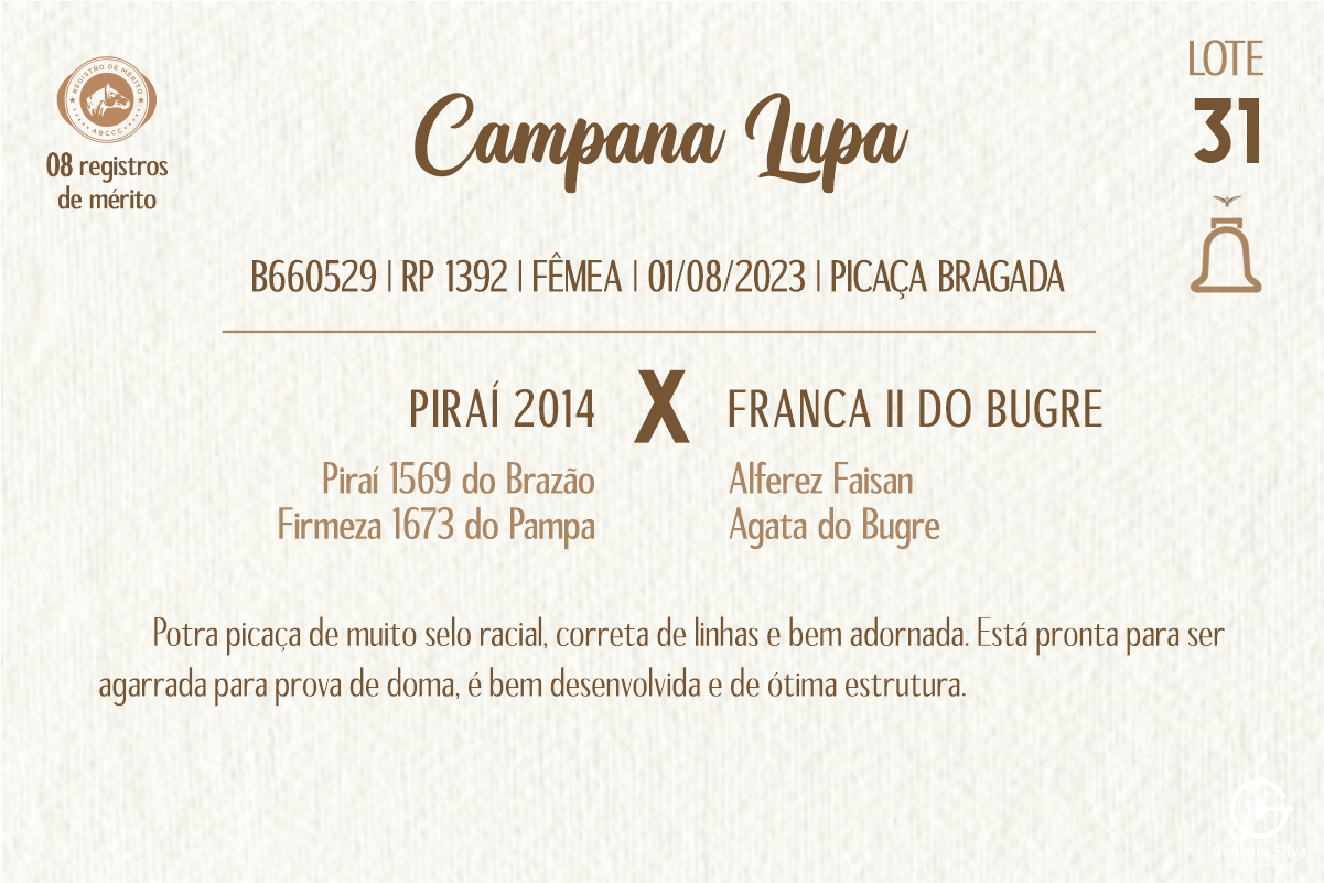 Geração CAMPANA LUPA