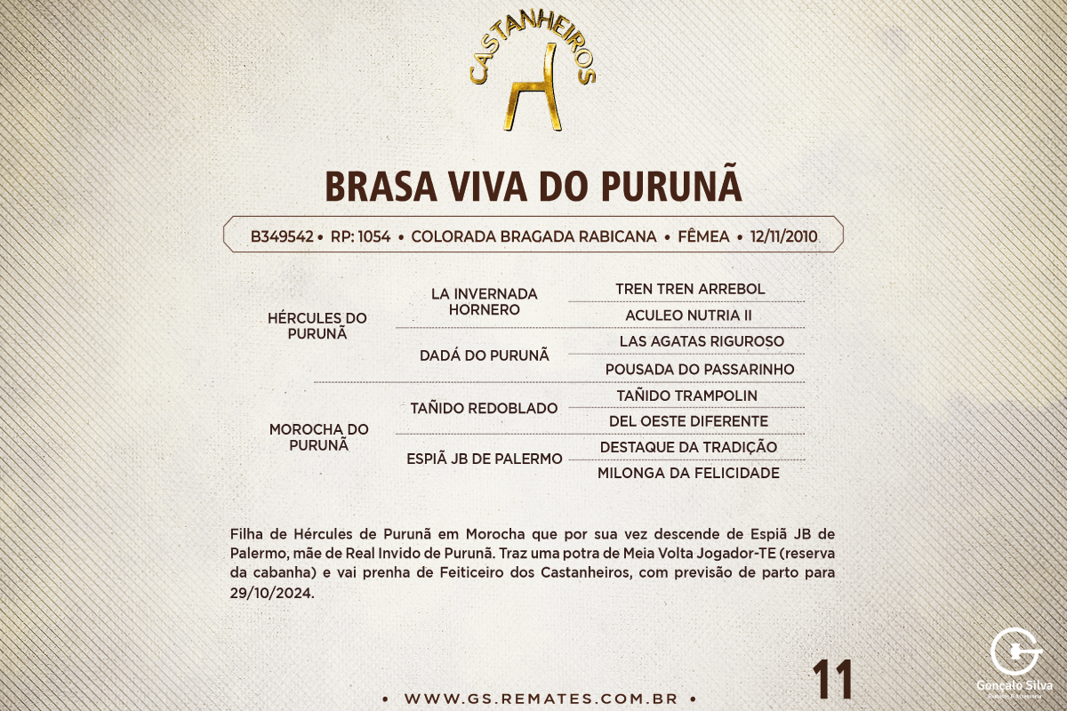 Geração BRASA VIVA DO PURUNÃ