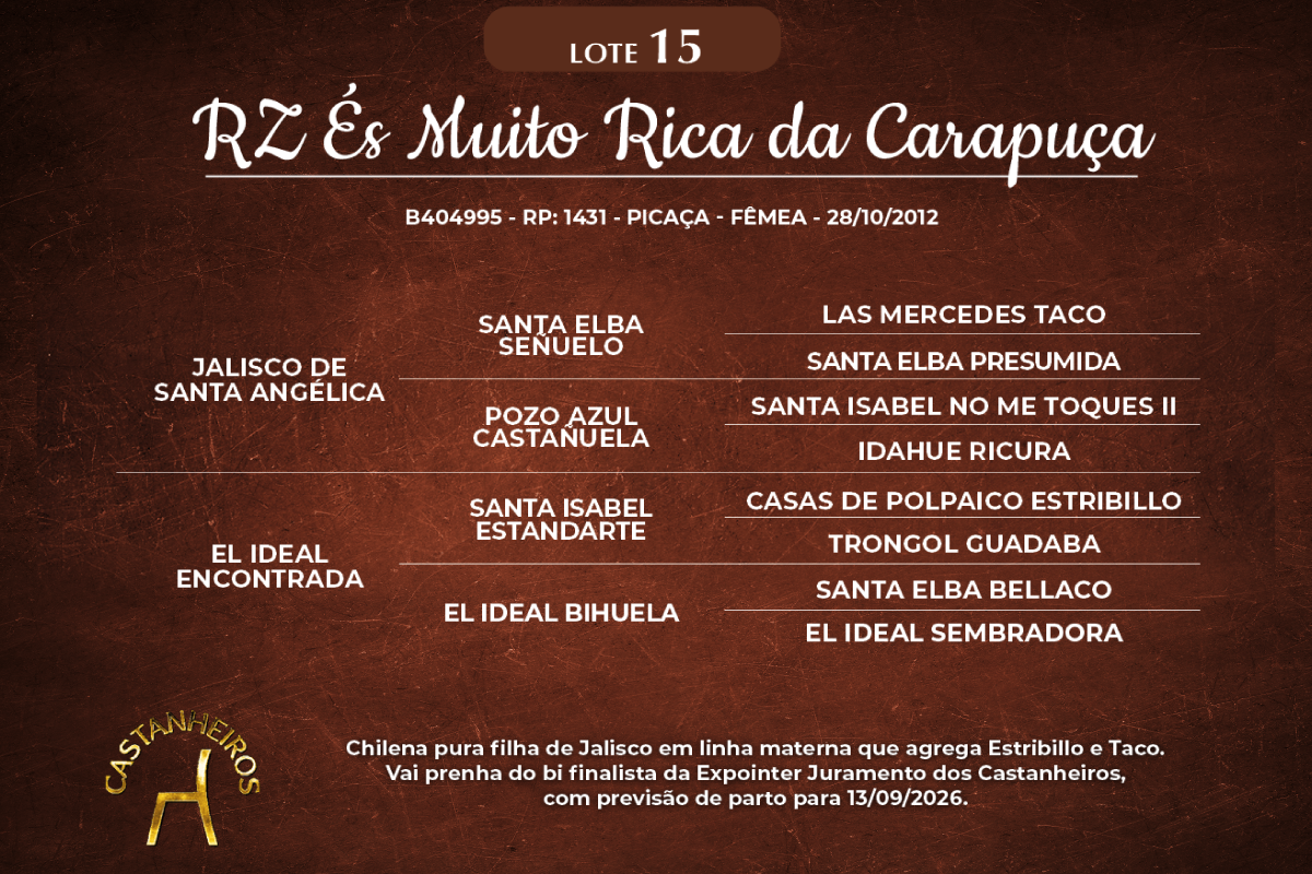 Geração RZ ÉS MUITO RICA DA CARAPUÇA