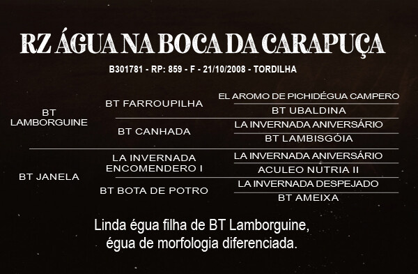 Geração RZ ÁGUA NA BOCA DA CARAPUÇA