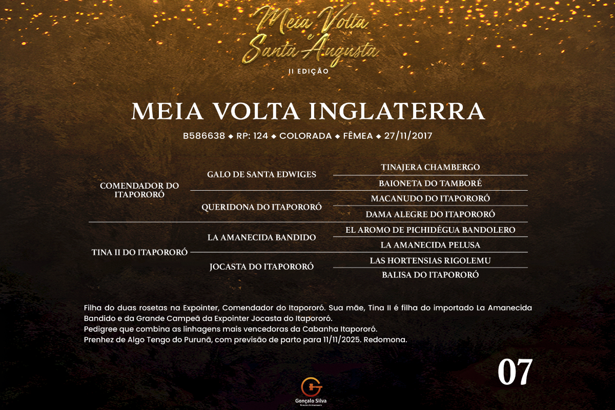 Geração MEIA VOLTA INGLATERRA