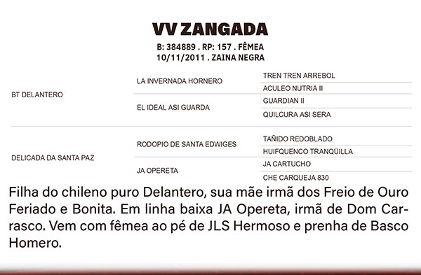 Geração VV ZANGADA
