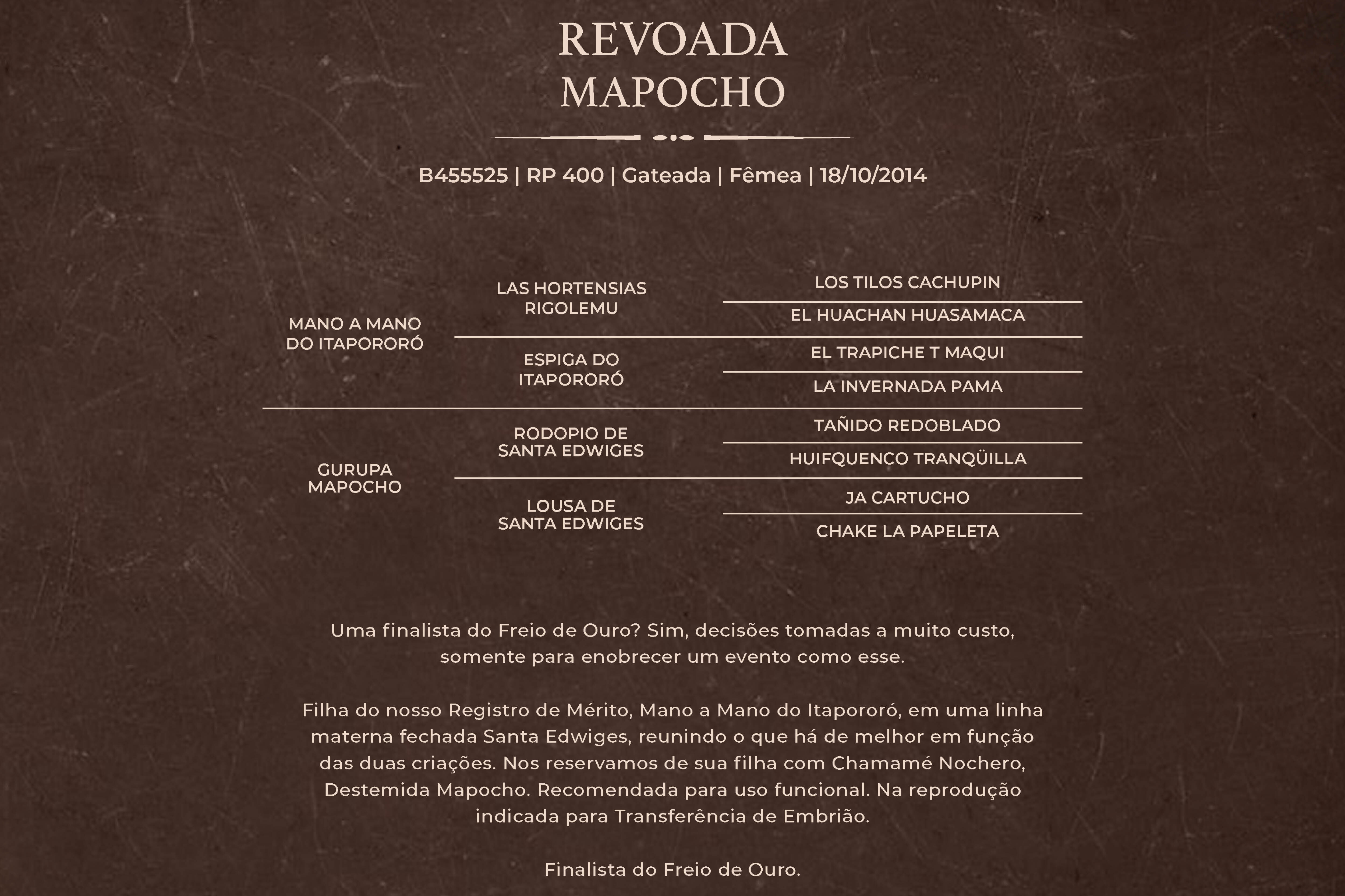 Geração REVOADA MAPOCHO