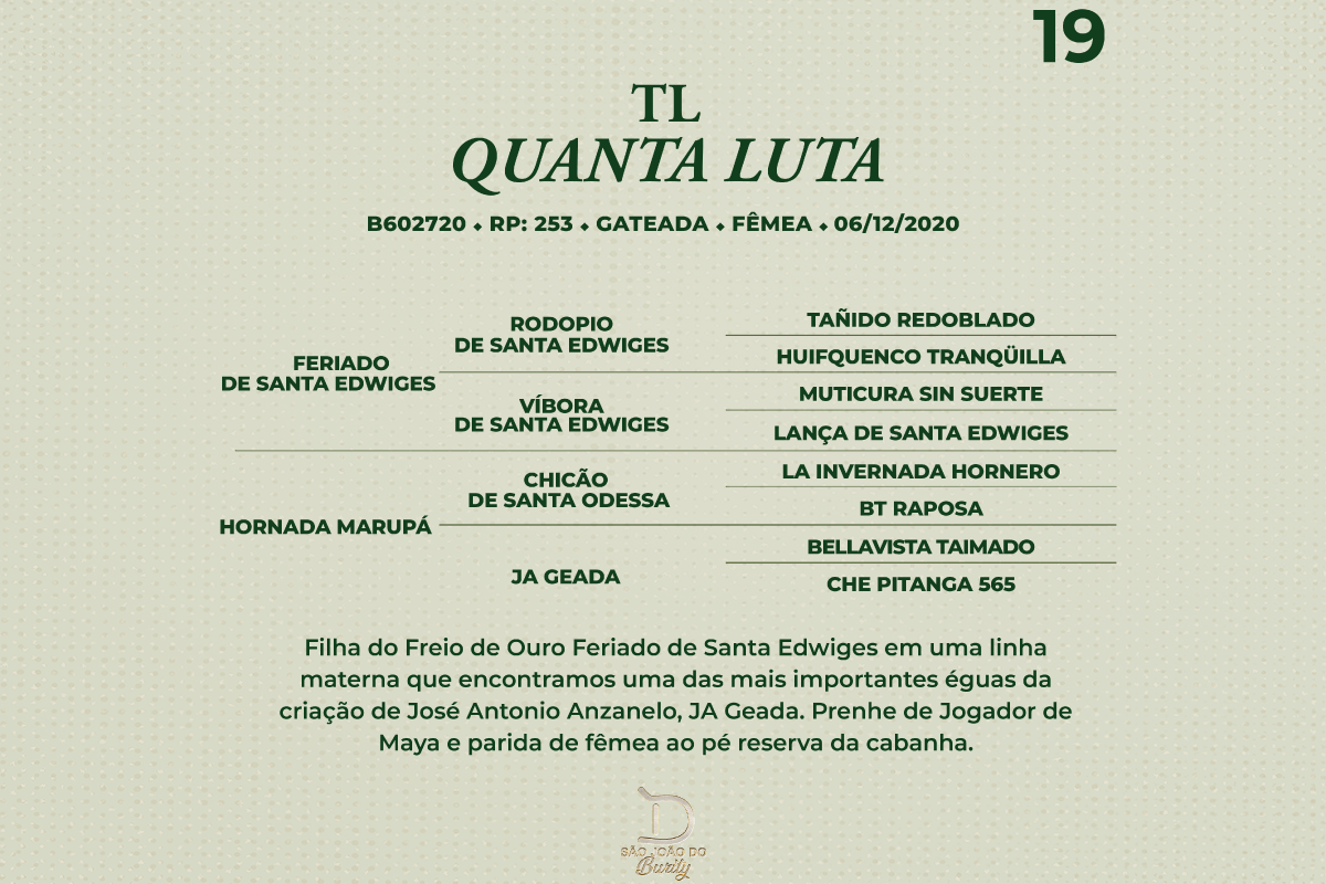 Geração TL QUANTA LUTA