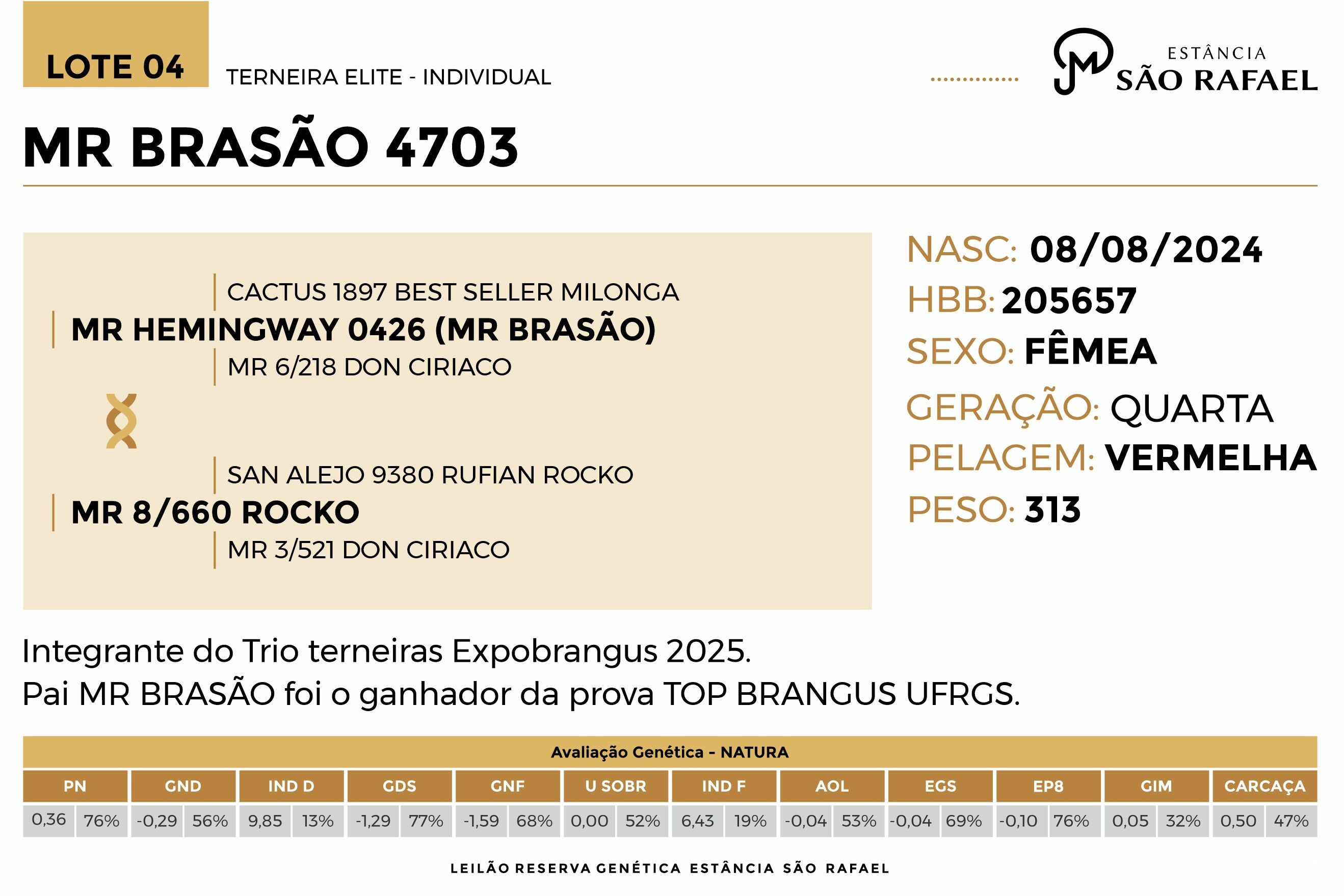 Geração MR BRASÃO 4703