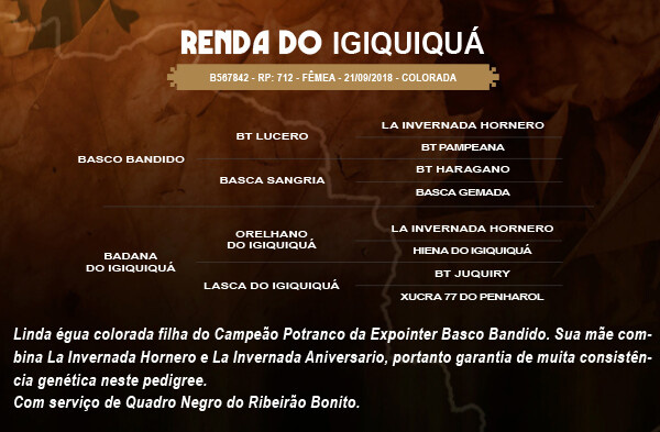 Geração RENDA DO IGIQUIQUÁ