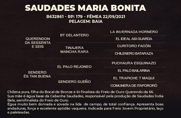 Geração SAUDADES MARIA BONITA
