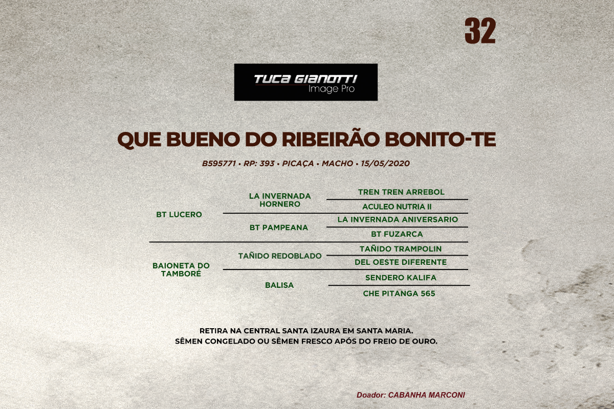 Geração QUE BUENO DO RIBEIRÃO BONITO - TE