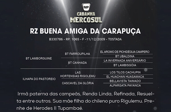Geração RZ BUENA AMIGA DA CARAPUÇA